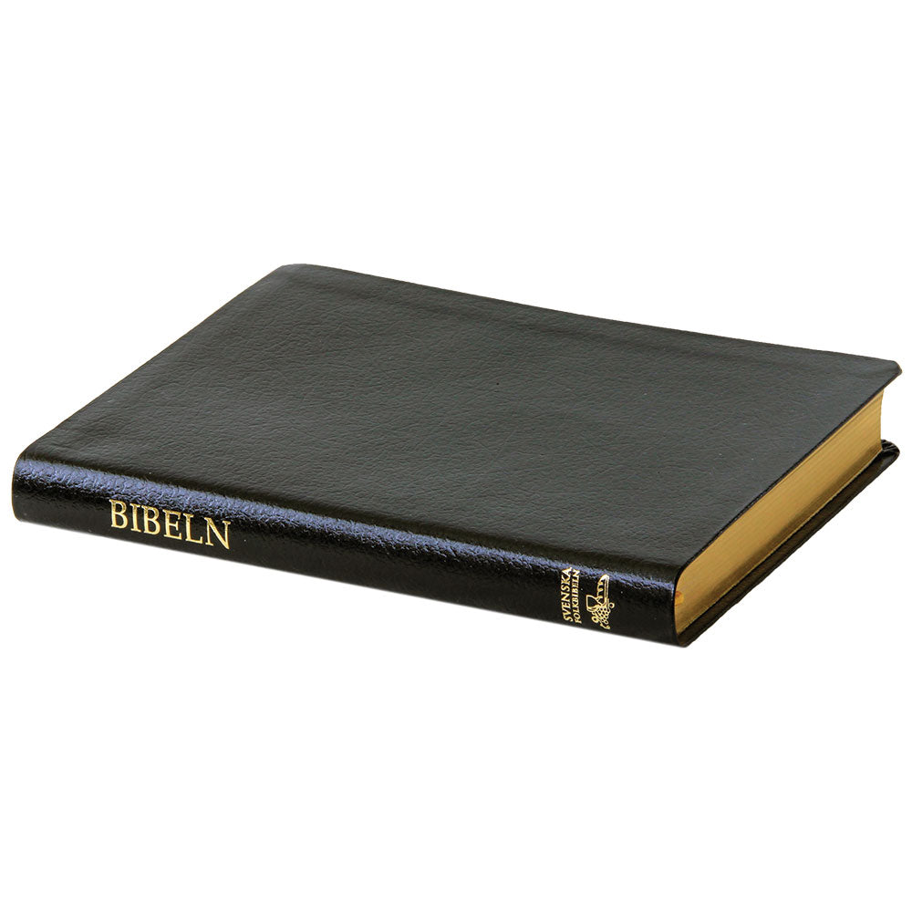 Folkbibeln 2015 Slimline konstskinn svart