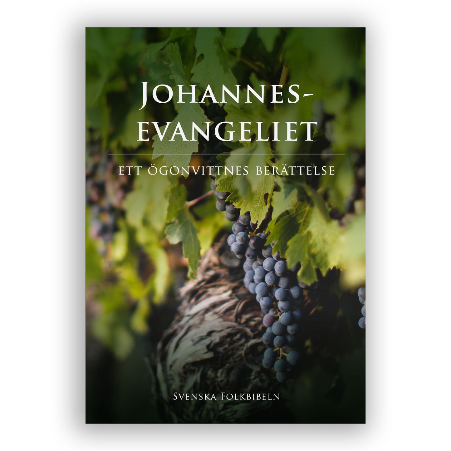 Johannesevangeliet (SFB2015)