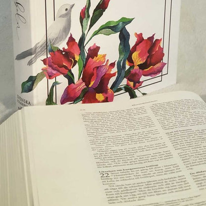 Folkbibeln 2015, Kreativbibel vit