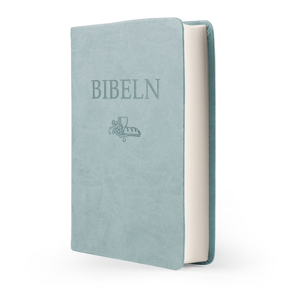 Kompaktbibel turkos skinnimitation (SFB15)