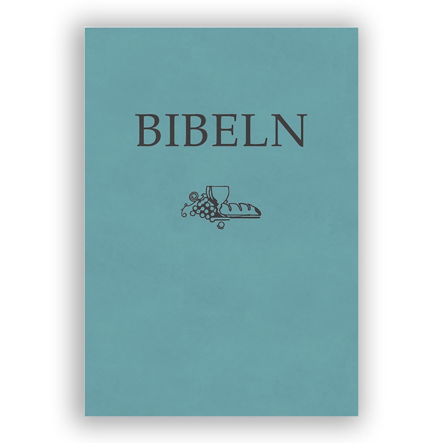 Kompaktbibel turkos skinnimitation (SFB15)