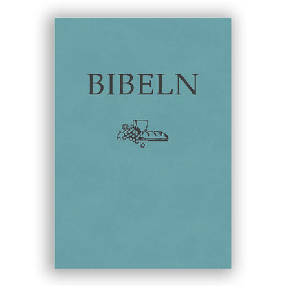 Kompaktbibel turkos skinnimitation (SFB15)