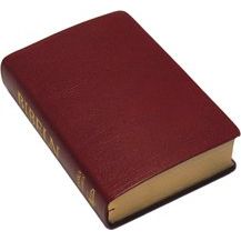 Folkbibeln 2015 Mellanformat konstskinn röd